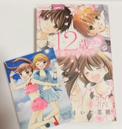 12歳。 10.5 公式ファンブックのサムネイル