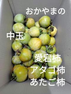 愛宕柿 渋柿 干し柿用 中玉 40〜50個のサムネイル