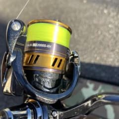 釣り　レガリス　ダイワ竿　リールセットのサムネイル