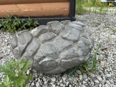 亀甲石 庭石 観賞石 天然石 石のオブジェのサムネイル