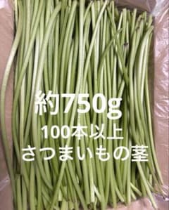 食用 さつまいもの茎 つる 新鮮 - メルカリ