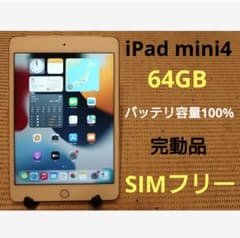 完動品SIMフリーiPad mini4(A1550)本体64GB送料込9GHMM - メルカリ