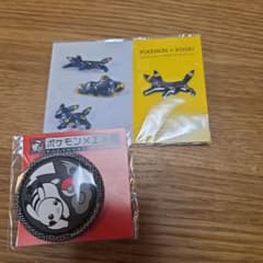 ポケモン×工芸展 ピンズ 缶バッジ セット ブラッキー ピカチュウ