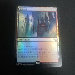 轟音の滝 foil 日本語のサムネイル