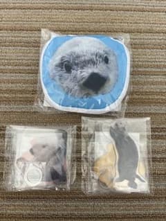 匿名発送 カプくじ×鳥羽水族館 ラッコのメイちゃんくじ リターンズ！ 3