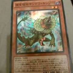 サンデウキンジーのサムネイル