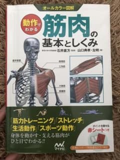 動作でわかる筋肉の基本としくみ : オールカラー図解のサムネイル