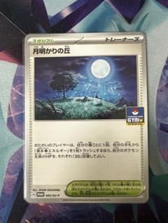 月明かりの丘のサムネイル