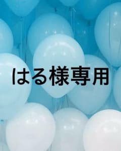 はる様専用のサムネイル