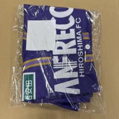 【新品未着用】サンフレッチェ広島 ベースボールシャツのサムネイル