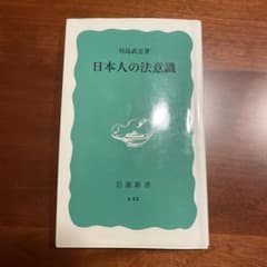 日本人の法意識 岩波新書のサムネイル