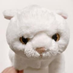 선레몬 무릎 고양이 흰색 고양이 M 얼굴 엄선 미사용 봉제 인형 화이트