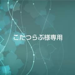 こたつらぶ様専用　男子新体操 リングケース シニア用