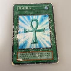 m14616206052_1.jpg?1751769062