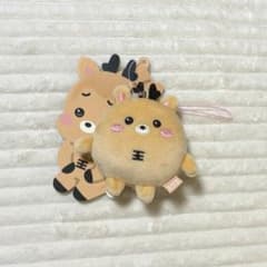 RIIZE ソンチャン ウラッバム ミニキーホルダー ぬいぐるみ マスコット
