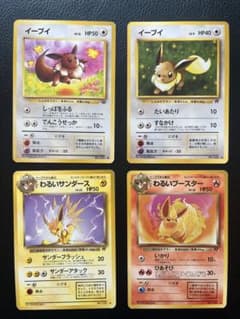 イーブイ進化系セット わるいサンダース わるいブースター ポケモン