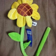 ひまわり 遊助のサムネイル