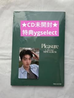 Treasure ハルト YGSELECT  特典 チケット 未開封 TREASURE PLEASURE CD トレカ ハルト 特典 - メルカリ