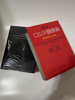 博友社　ロシア語辞典のサムネイル