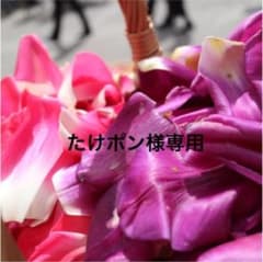 たけポン様専用ページのサムネイル