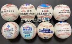全国高校野球選手権大会 記念ボール 18個セット 高校野球 記念ボール 春のセンバツ 夏の甲子園 8個セット 選抜