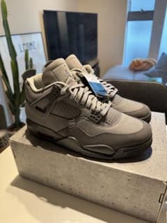 Nike Air Jordan 4SE 