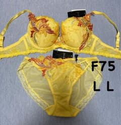 NADY　サルート　F75＆L ブラショーツ　セットアップお纏め サルート F75＆L L 92G プレステージ ブラショーツ セットアップ