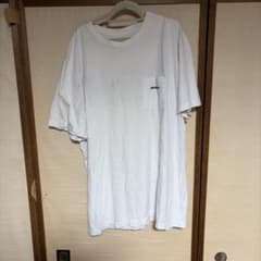 patagonia パタゴニア ポケットTシャツ ホワイトのサムネイル