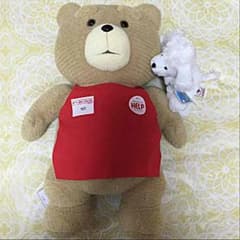 TEDぬいぐるみ 白犬付きのサムネイル