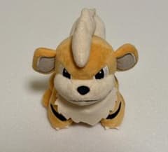 【ポケモン】フォーカスぬいぐるみ ガーディ【匿名配送】のサムネイル