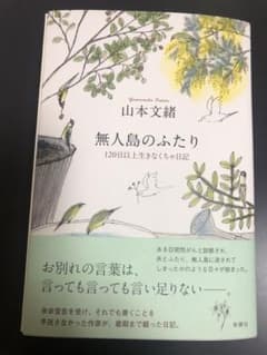 無人島のふたりのサムネイル