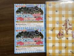 サマーランド 株主優待券　1Dayパスのサムネイル