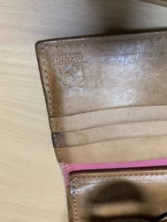 ALZUNIのサムネイル
