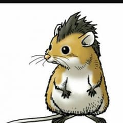 朧さん専用のサムネイル