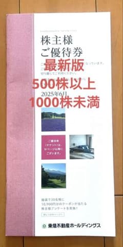 東急ホールディングス株主優待券 500株以上1000株未満のサムネイル