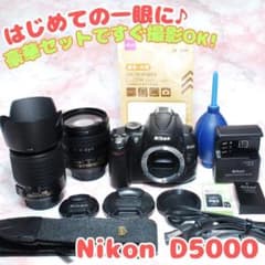 【決算セール】入学式・イベント Nikon D50 高画質一眼レフ 人気モデル 81Kzh5hqn3L._AC_UF894,