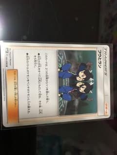 フウとランのサムネイル