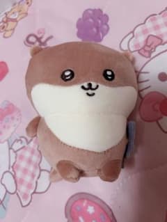 ナガノのカワウソ　ぬいぐるみくじD賞：マスコットのサムネイル