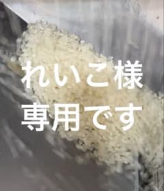 リピート割引令和7年愛知県産 あいちのかおり【精米20kg】送料込 お米