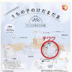 うちの子のけだまだま　チワワのサムネイル