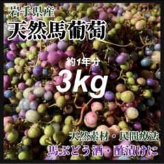 在庫わずか】馬ぶどう250g×12袋 1年分3kg うまぶどう 薬膳 民間療法