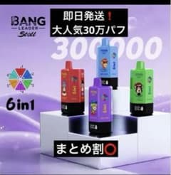 BANG LEADER 30万パフ 6種類味変可能 ニコ⭐︎パフ 即日発送 BANG LEADER 30万回吸引 6種類味変可能 ニコ⭐︎パフ 即日発送 - メルカリ