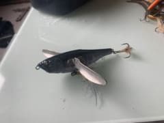 ダッヂのサムネイル