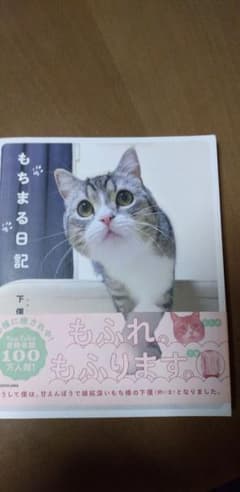 もちまる日記のサムネイル