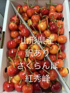 山形県産 ⑤訳あり さくらんぼ 紅秀峰のサムネイル