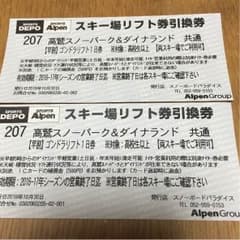 高鷲 ダイナランド共通リフト券2枚のサムネイル