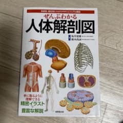 ぜんぶわかる人体解剖図 : 系統別・部位別にわかりやすくビジュアル解説のサムネイル