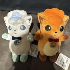 ポケモン ご当地ぬいぐるみ ロコン アローラロコン セット - メルカリ