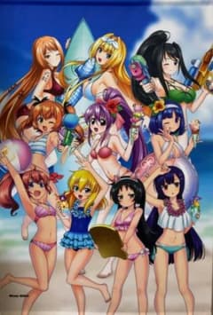 戦国乙女×ツインエンジェル 水着ver. コラボB2 タペストリー - メルカリ