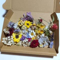 ドライフラワー セット わけあり 訳あり B品 - メルカリ